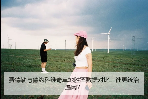 费德勒与德约科维奇草地胜率数据对比：谁更统治温网？